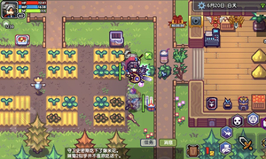 伊洛纳料理食物箭毒草等级与效果一览