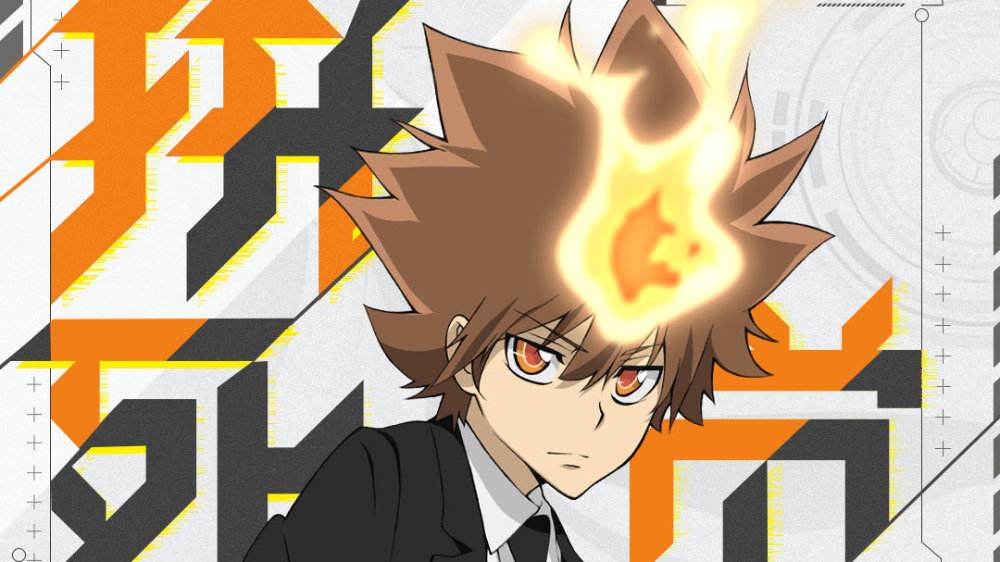 家庭教师手游未来沢田纲吉配卡