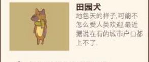 动物餐厅田园犬来访解锁介绍