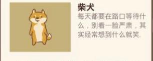 动物餐厅柴犬来访解锁介绍