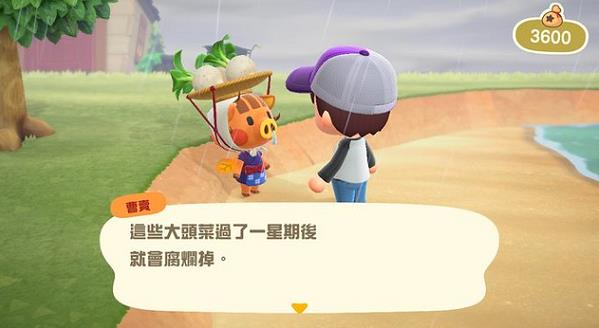 动物森友会大头菜获得赚钱方法介绍