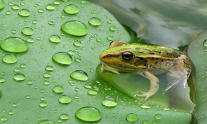 森林驿站9月16号每日一题答案介绍