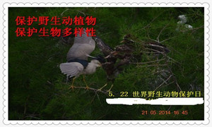 森林驿站9月18号每日一题答案介绍