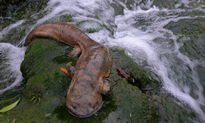 森林驿站9月21号每日一题答案介绍