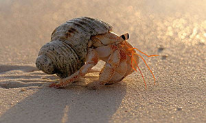 森林驿站9月25号每日一题答案介绍