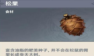 原神松果购买机制说明