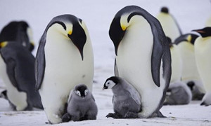 2020微博森林驿站10月29日每日一题答案介绍