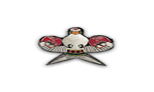 我的侠客风筝获得方法介绍