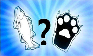 “鱼与熊掌不可兼得”是形容理财的什么特点