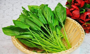 宋朝人吃火锅时可以吃到以下哪种蔬菜