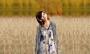 光遇暖暖乐谱分享