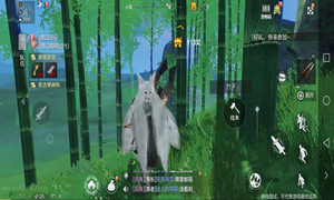 妄想山海竹子位置介绍