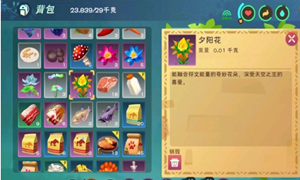 创造与魔法夕阳花分布位置介绍