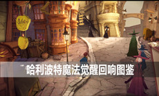 哈利波特魔法觉醒回响图鉴