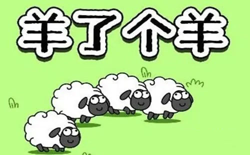 羊了个羊9月15通关攻略