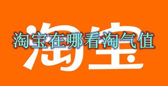 淘宝淘气值在哪里看