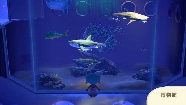 海底博物馆游戏图片