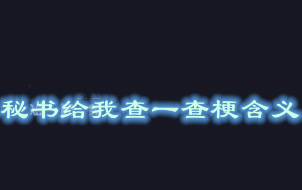 抖音秘书给我查一下是什么梗 秘书给我查一下梗含义介绍 晨飞手游网