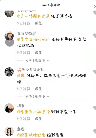 秘书给我查一下意思介绍