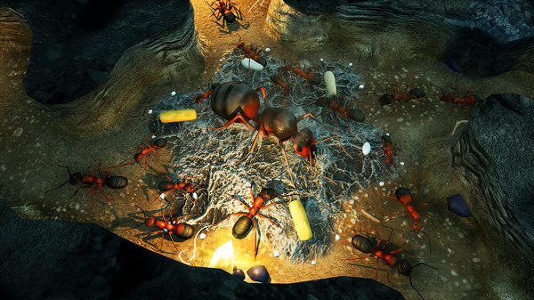模拟地下蚁国无限食物